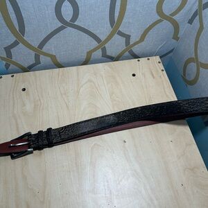 torino elite genuine tigershark belt size 36